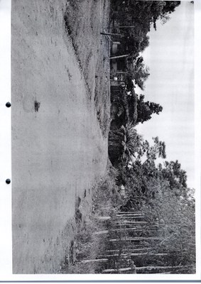 Indicação 14 2014 (11).jpg