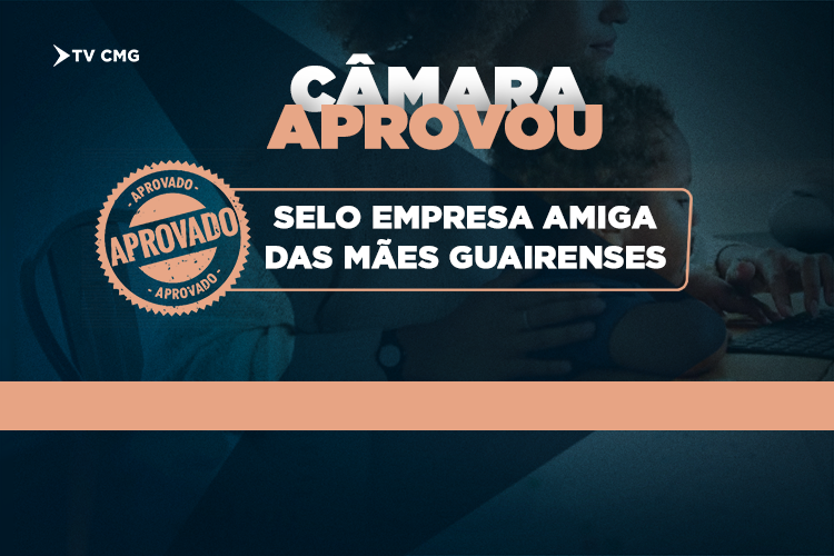 APROVADO PROJETO QUE INSTITUI O SELO EMPRESA AMIGA DAS MÃES GUAIRENSES