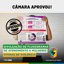 CÂMARA APROVOU: FLUXOGRAMA DE ATENDIMENTO PARA MULHERES EM SITUAÇÃO DE VIOLÊNCIA