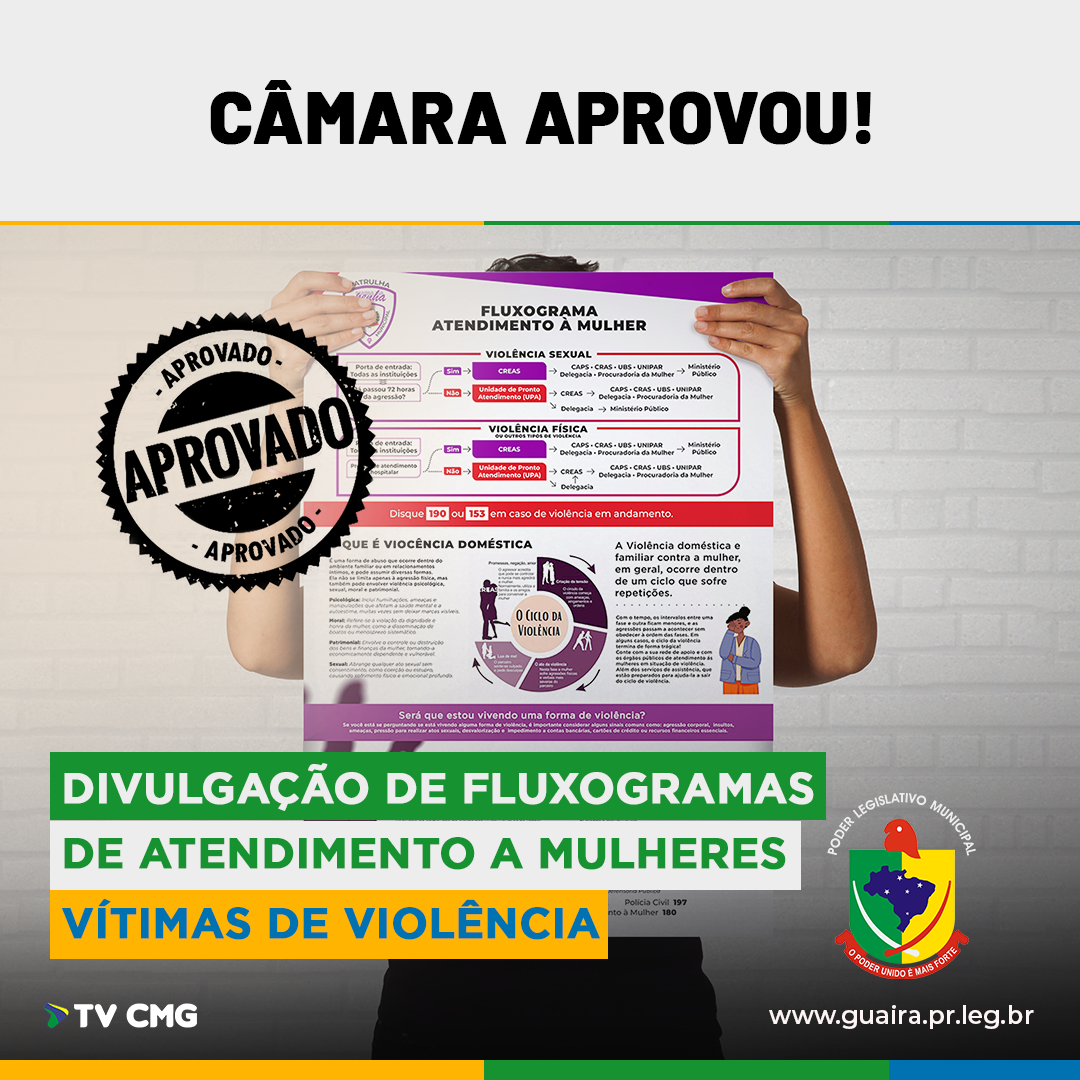 CÂMARA APROVOU: FLUXOGRAMA DE ATENDIMENTO PARA MULHERES EM SITUAÇÃO DE VIOLÊNCIA