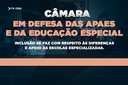 CÂMARA VALORIZA A PESTALOZZI E DEFEDEN A EDUCAÇÃO ESPECIALIZADA