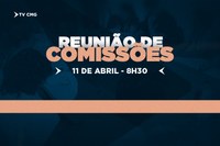 COMISSÕES DISCUTIRÃO PROJETOS DE INCENTIVO A NEGÓCIOS E ROBÓTICA NESTA SEXTA (11)