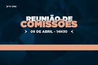 COMISSÕES PERMANENTES SE REÚNEM NESTA QUINTA (09) PARA DEBATER PROJETOS
