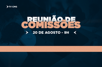 COMISSÕES PERMANENTES VÃO ANALISAR PROJETOS DE SERVIÇOS PÚBLICOS E TRÂNSITO