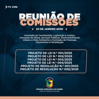COMISSÕES REALIZARÃO 1ª REUNIÃO PARA DEFINIR FUNÇÕES DOS MEMBROS E ANALISAR PL´S