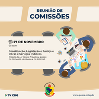 COMISSÕES SE REÚNEM AMANHÃ PARA DISCUTIR PL DE PROTEÇÃO A IDOSOS CONTRA GOLPES