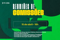 COMISSÕES SE REÚNEM NESTA QUARTA PARA DEBATER EMENDAS IMPOSITIVAS E PROTEÇÃO SOCIAL