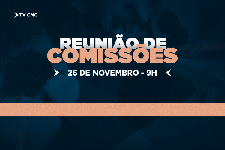 COMISSÕES VÃO DEBATER ACESSIBILIDADE, ARTESANATO E NOVA REGRA PARA TÁXIS